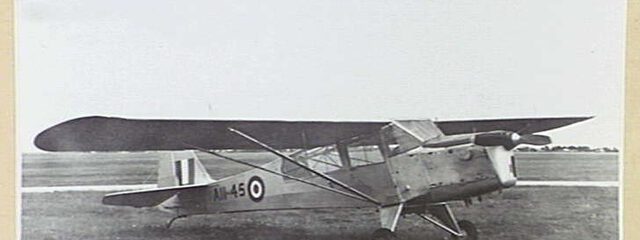 Auster