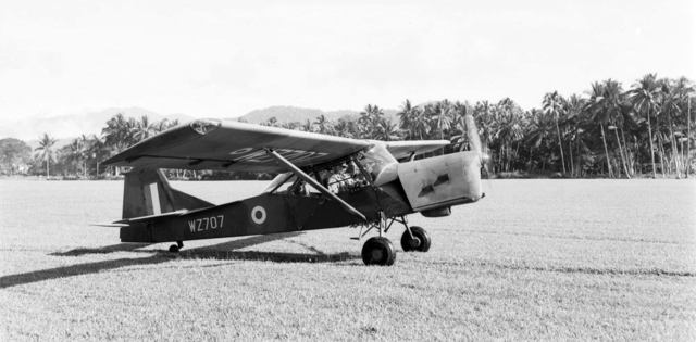Auster