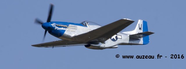 P51D Mustang